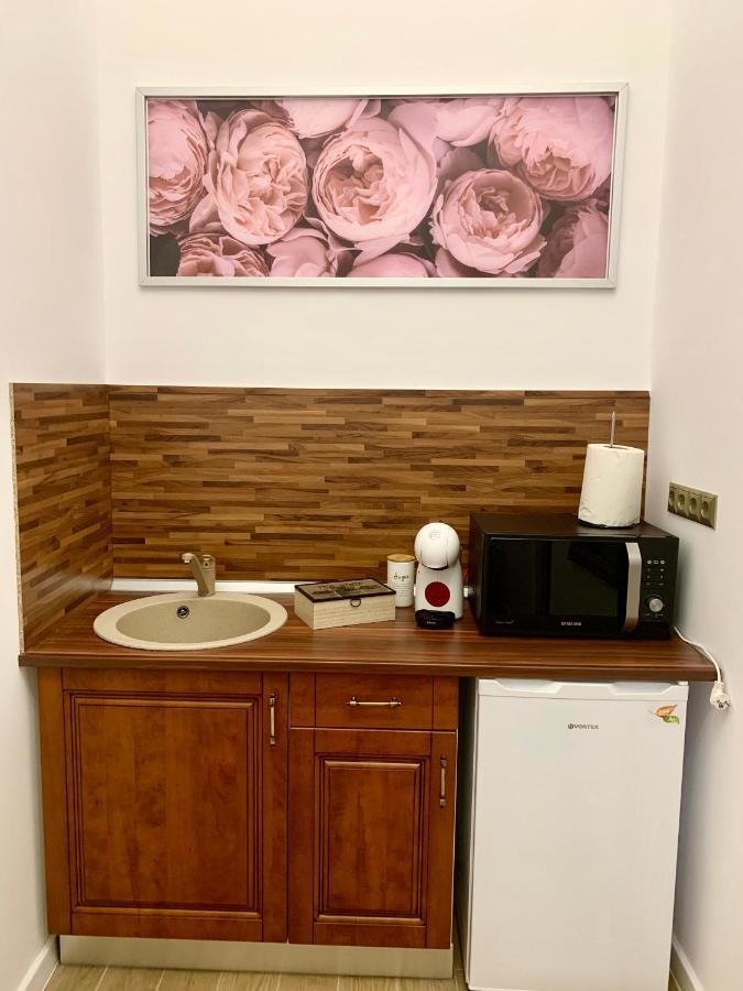 Art Nouveau Apartment Ultracentral Oradea Εξωτερικό φωτογραφία