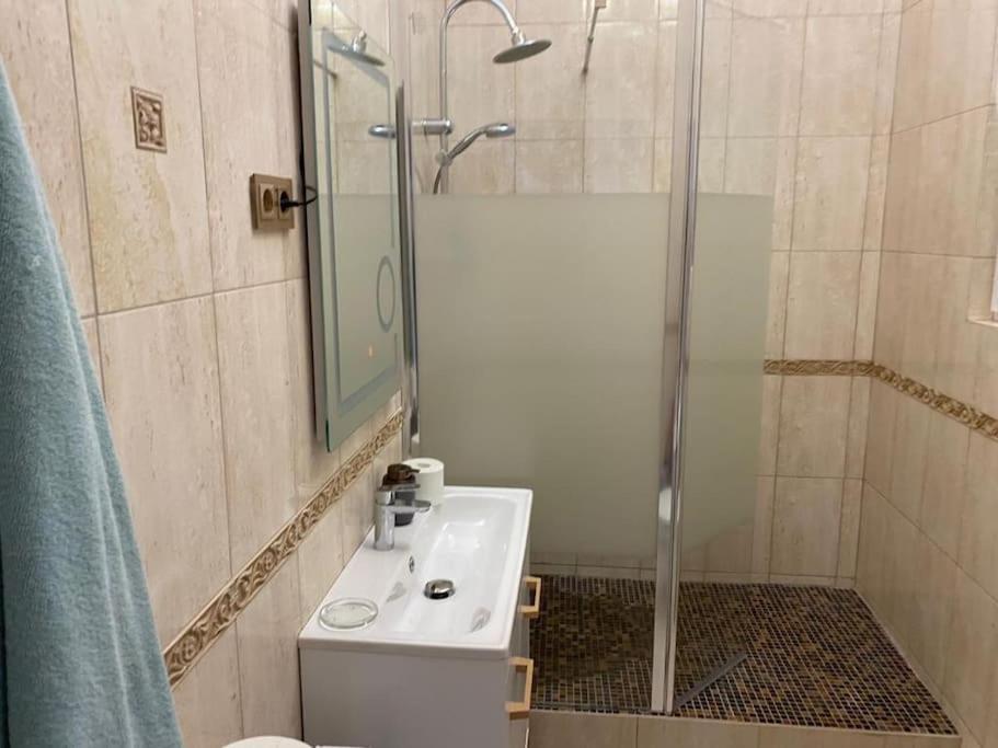 Art Nouveau Apartment Ultracentral Oradea Εξωτερικό φωτογραφία