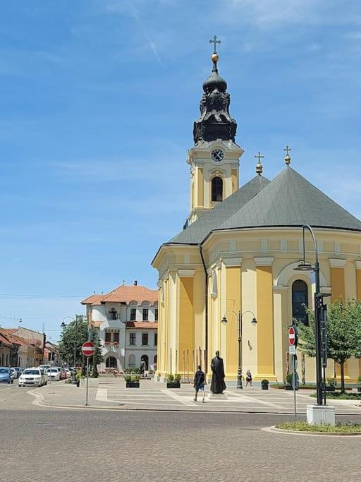 Art Nouveau Apartment Ultracentral Oradea Εξωτερικό φωτογραφία