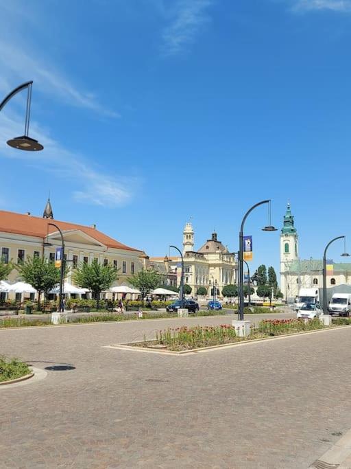 Art Nouveau Apartment Ultracentral Oradea Εξωτερικό φωτογραφία